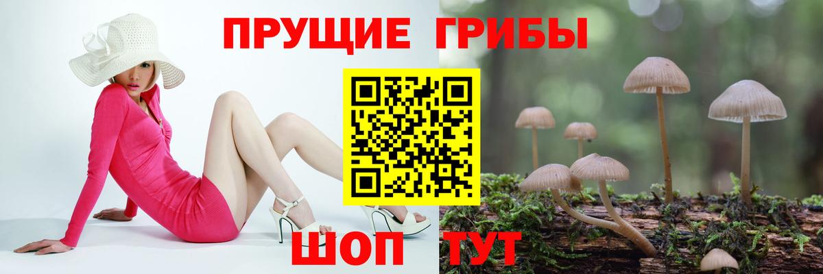 Галлюциногенные грибы Psilocybe  Вход с VPN  Галлюциногенные грибы мицелий  Железноводск 